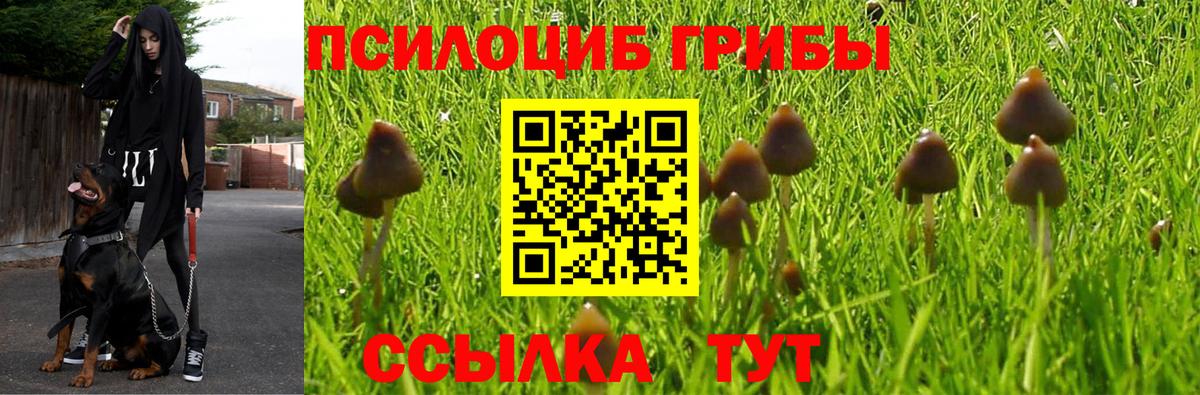 Псилоцибиновые грибы MAGIC MUSHROOMS  как найти закладки  Галлюциногенные грибы мицелий  Усть-Лабинск  Вход с VPN 